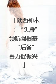 陕西神木：“头雁”领航强根基 “后备”蓄力促振兴
