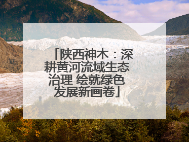 陕西神木：深耕黄河流域生态治理 绘就绿色发展新画卷