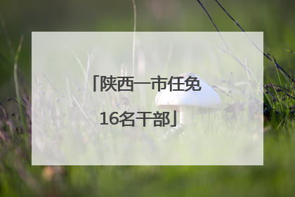陕西一市任免16名干部