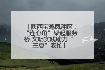 陕西宝鸡凤翔区：“连心角”架起服务桥 文明实践助力“三夏”农忙