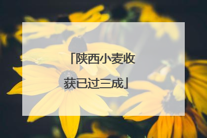 陕西小麦收获已过三成