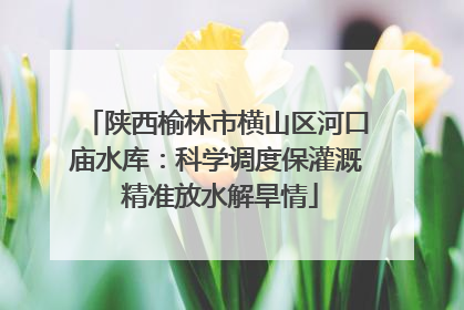 陕西榆林市横山区河口庙水库：科学调度保灌溉 精准放水解旱情