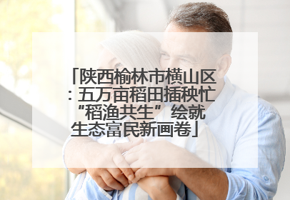 陕西榆林市横山区：五万亩稻田插秧忙 “稻渔共生”绘就生态富民新画卷