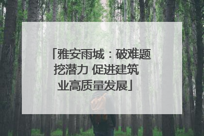 雅安雨城：破难题 挖潜力 促进建筑业高质量发展