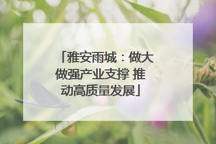 雅安雨城：做大做强产业支撑 推动高质量发展