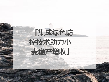 集成绿色防控技术助力小麦稳产增收