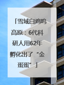 雪域白鸡鸣高原：6代科研人用62年孵化出了“金蛋蛋”