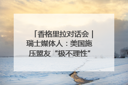 香格里拉对话会｜瑞士媒体人：美国施压盟友“极不理性” 欧洲国家无意与中国“脱钩断链”