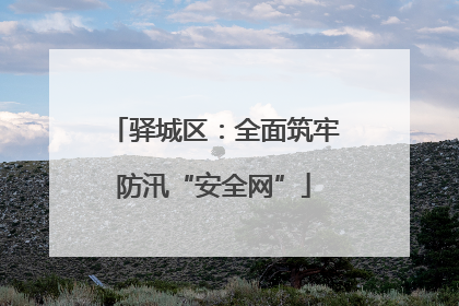 驿城区：全面筑牢防汛“安全网”