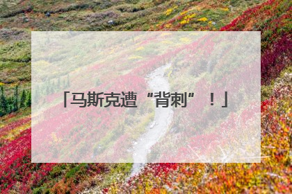 马斯克遭“背刺”！