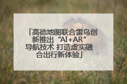 高德地图联合雷鸟创新推出“AI+AR”导航技术 打造虚实融合出行新体验