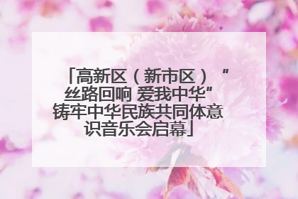 高新区（新市区）“丝路回响 爱我中华”铸牢中华民族共同体意识音乐会启幕