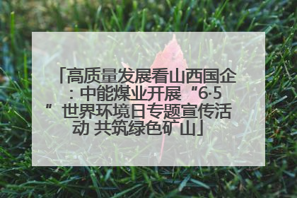 高质量发展看山西国企：中能煤业开展“6·5”世界环境日专题宣传活动 共筑绿色矿山