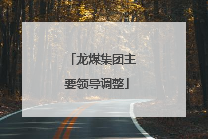 龙煤集团主要领导调整