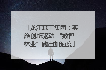 龙江森工集团：实施创新驱动 “数智林业”跑出加速度