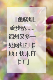 鱼鳞坝、碇步桥……福州又多一处网红打卡地！快来打卡！