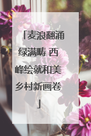 麦浪翻涌绿满畴 西峰绘就和美乡村新画卷