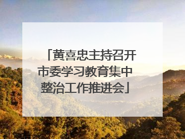 黄喜忠主持召开市委学习教育集中整治工作推进会