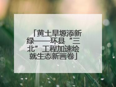 黄土旱塬添新绿——环县“三北”工程加速绘就生态新画卷