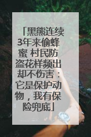 黑熊连续3年来偷蜂蜜 村民防盗花样频出却不伤害：它是保护动物，我有保险兜底