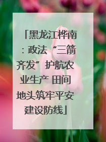 黑龙江桦南：政法“三箭齐发”护航农业生产 田间地头筑牢平安建设防线