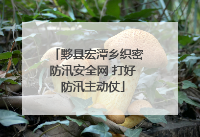 黟县宏潭乡织密防汛安全网 打好防汛主动仗