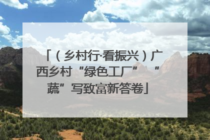 （乡村行·看振兴）广西乡村“绿色工厂” “蔬”写致富新答卷