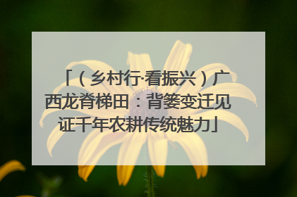 （乡村行·看振兴）广西龙脊梯田：背篓变迁见证千年农耕传统魅力