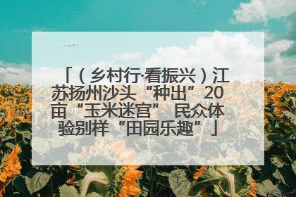 （乡村行·看振兴）江苏扬州沙头“种出”20亩“玉米迷宫” 民众体验别样“田园乐趣”