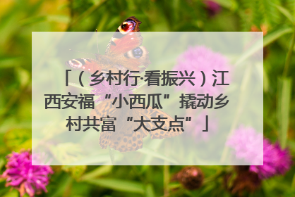 （乡村行·看振兴）江西安福“小西瓜”撬动乡村共富“大支点”
