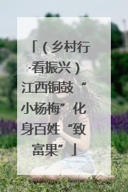 （乡村行·看振兴）江西铜鼓“小杨梅”化身百姓“致富果”