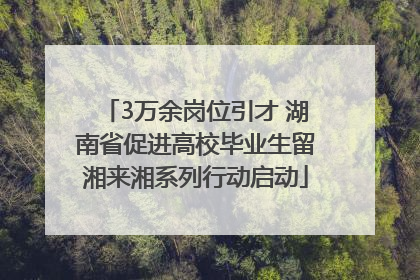 3万余岗位引才 湖南省促进高校毕业生留湘来湘系列行动启动