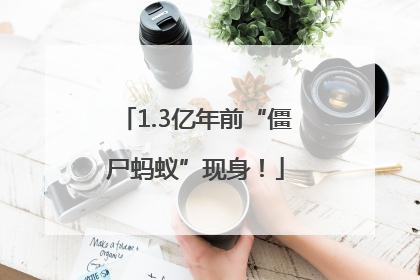 1.3亿年前“僵尸蚂蚁”现身！
