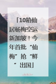 10箱仙居杨梅空运新加坡！今年首批“仙梅”抢“鲜”出国