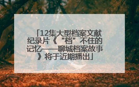 12集大型档案文献纪录片《“档”不住的记忆——聊城档案故事》将于近期播出