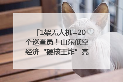 1架无人机=20个巡查员！山东低空经济“硬核王炸”亮相青岛，下一个万亿赛道藏在这里
