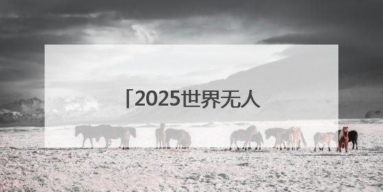 2025世界无人机大会落幕，意向成交额达200亿元
