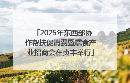 2025年东西部协作帮扶促消费暨糯食产业招商会在贞丰举行