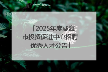 2025年度威海市投资促进中心招聘优秀人才公告
