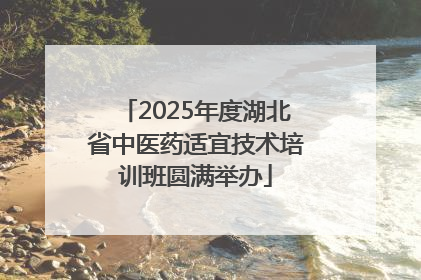 2025年度湖北省中医药适宜技术培训班圆满举办