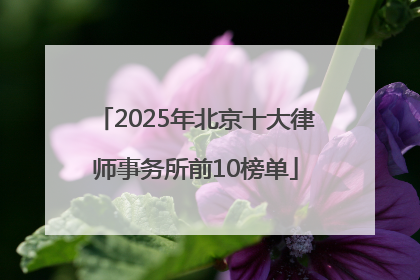 2025年北京十大律师事务所前10榜单