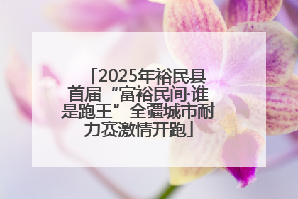 2025年裕民县首届“富裕民间·谁是跑王”全疆城市耐力赛激情开跑