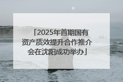 2025年首期国有资产质效提升合作推介会在沈阳成功举办