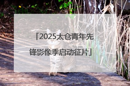 2025太仓青年先锋影像季启动征片