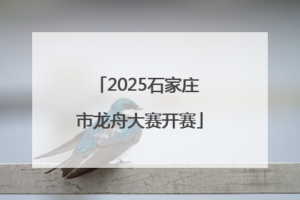2025石家庄市龙舟大赛开赛