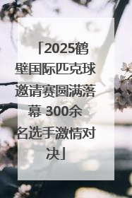 2025鹤壁国际匹克球邀请赛圆满落幕 300余名选手激情对决