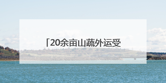 20余亩山蔬外运受阻 无人机极限飞行8小时转运6吨蔬菜