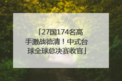 27国174名高手激战德清！中式台球全球总决赛收官