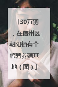 30万羽，在信州区朝阳镇有个鹌鹑养殖基地（图）
