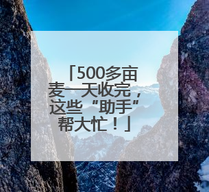 500多亩麦一天收完，这些“助手”帮大忙！